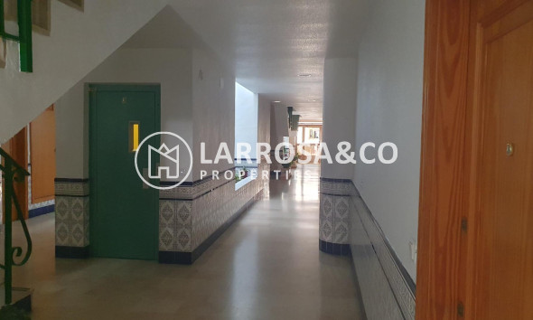 A Vendre - Apartment - Guardamar del Segura - Los Secanos