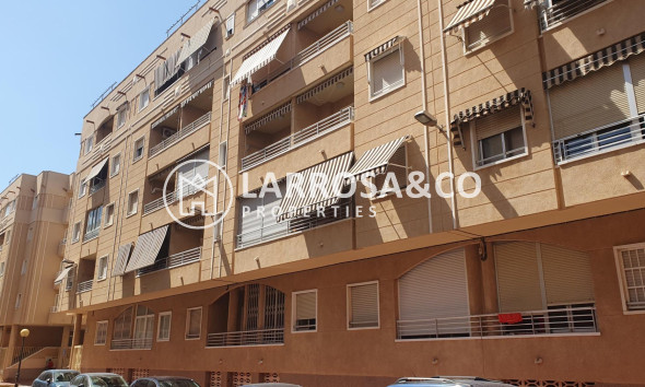 A Vendre - Apartment - Guardamar del Segura - Los Secanos