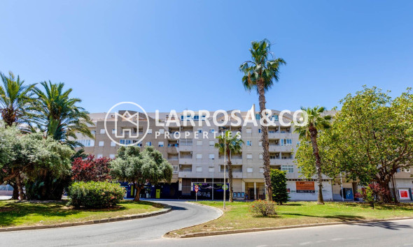 Herverkoop - Apartment - Torrevieja - Centro