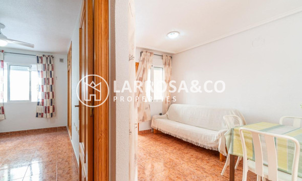 Reventa - Apartamento - Torrevieja - Nueva Torrevieja