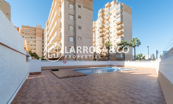 Reventa - Apartamento - Torrevieja - Nueva Torrevieja