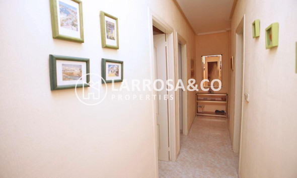 Reventa - Apartamento - Torrevieja - Playa del cura