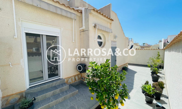 Resale - Detached House/Villa - Orihuela costa - Playa Flamenca