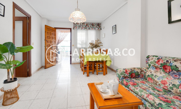 A Vendre - Apartment - Torrevieja - Estacion de autobuses