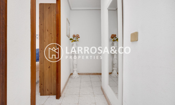 A Vendre - Apartment - Torrevieja - Estacion de autobuses