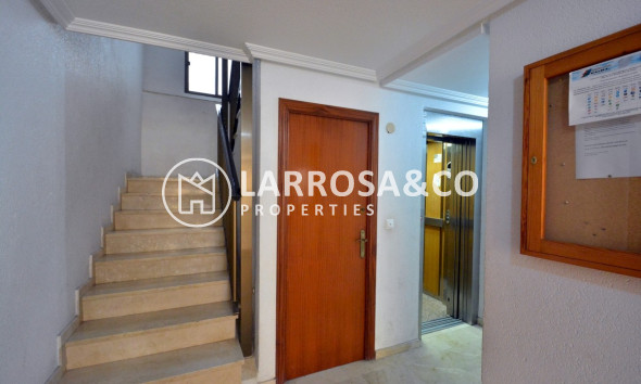 Resale - Apartment - Guardamar del Segura