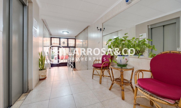 Reventa - Apartamento - Torrevieja - Playa del cura