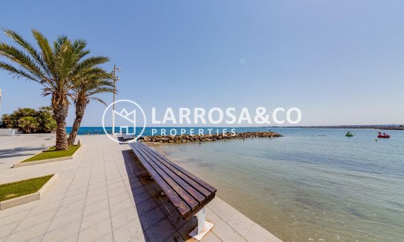 A Vendre - Apartment - Torrevieja - Playa del cura