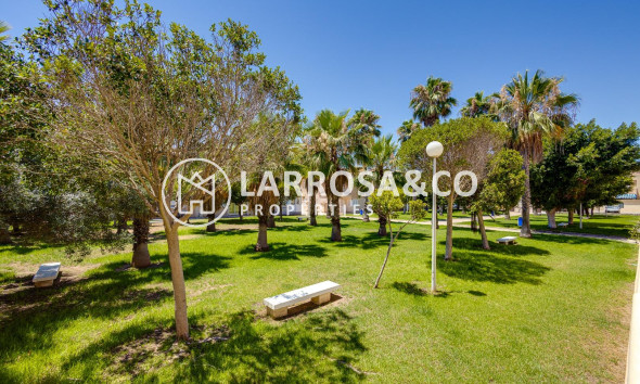 Herverkoop - Semi-detached house - Torrevieja - Aguas nuevas 2