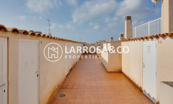 A Vendre - Apartment - Torrevieja - Nueva Torrevieja