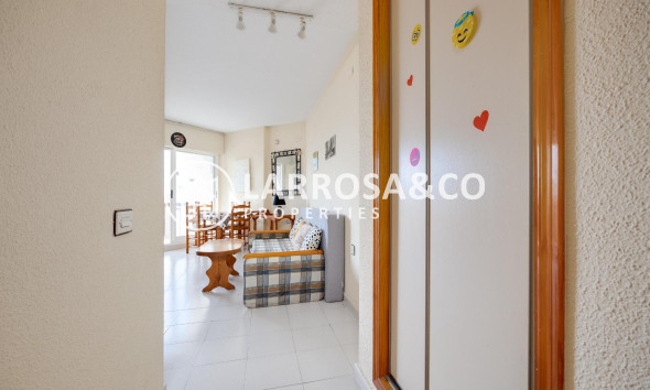 Resale - Apartment - Torrevieja - Playa del cura