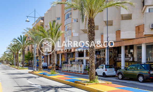 Herverkoop - Apartment - Torrevieja - Playa del cura