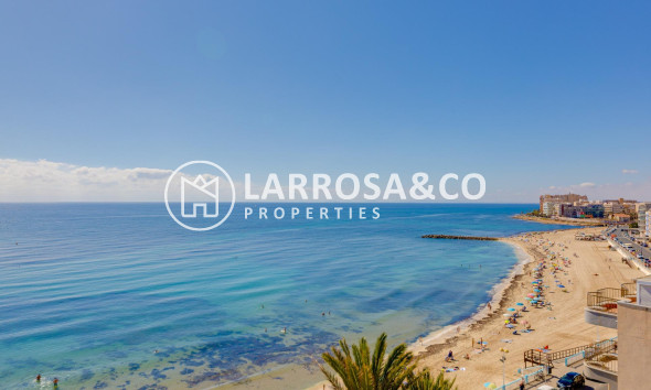 Reventa - Apartamento - Torrevieja - Playa Los Locos