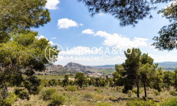 A Vendre - Semi-detached house - Callosa de Segura - C- FILARMONICA