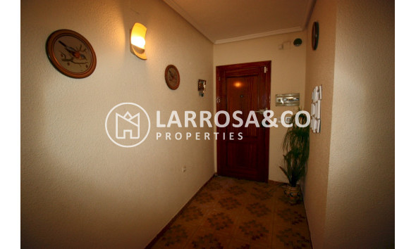 Herverkoop - Apartment - Guardamar del Segura - Playa centro