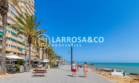 A Vendre - Apartment - Torrevieja - Playa del cura