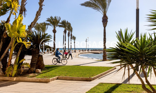 Herverkoop - Apartment - Torrevieja - Playa del cura