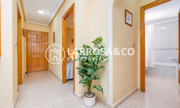 Reventa - Apartamento - Torrevieja - Playa del cura