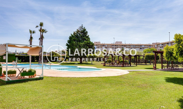 Herverkoop - Bungalow - Torrevieja - Centro