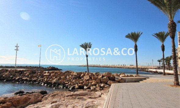 Herverkoop - Apartment - Torrevieja - Playa del cura