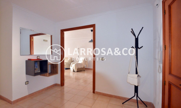 Long Term Rentals - Apartment - Guardamar del Segura - Avenida los pinos