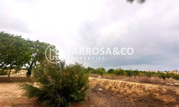 A Vendre - Semi-detached house - Guardamar del Segura - El Raso