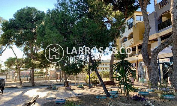 Nieuwbouw Woningen - Bungalow - San Javier - Roda Golf