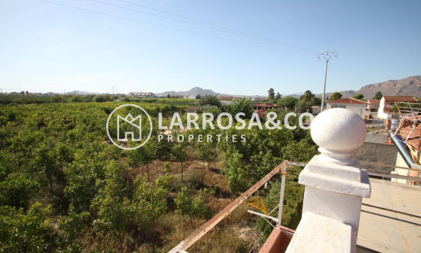 Resale - Detached House/Villa - EL RAAL - El secano