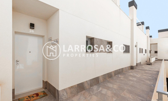 A Vendre - Penthouse  - Torrevieja - La veleta