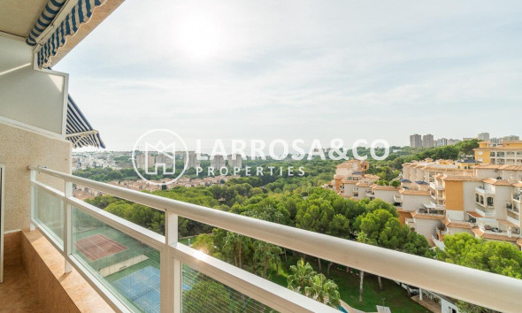 Reventa - Apartamento - Orihuela costa - Campoamor