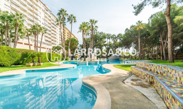 A Vendre - Apartment - Orihuela costa - Campoamor