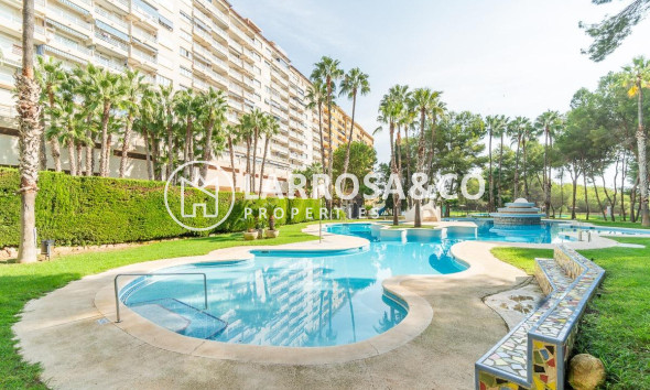 Resale - Apartment - Orihuela costa - Campoamor