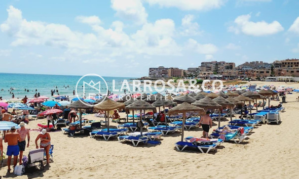 Resale - Apartment - Torrevieja - La Mata