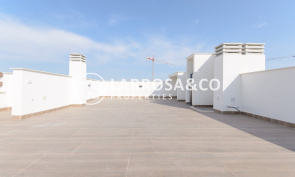 Obra Nueva - Bungalow - Torrevieja - Los Balcones