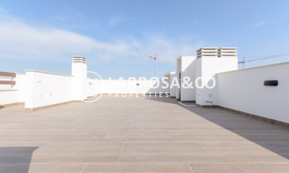 Obra Nueva - Bungalow - Torrevieja - Los Balcones