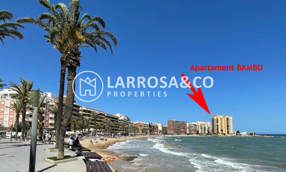 Resale - Apartment - Torrevieja - Playa del cura