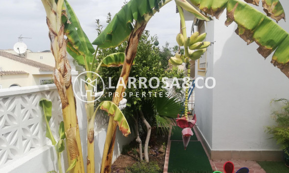 Resale - Detached House/Villa - Rojales - La Marquesa