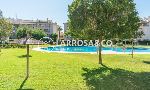 Resale - Ground floor apartment - Orihuela costa - Playa Flamenca