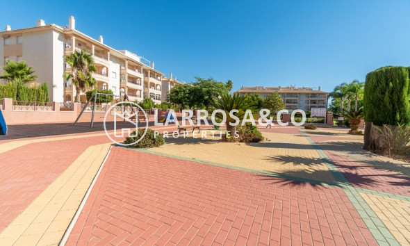 Resale - Ground floor apartment - Orihuela costa - Playa Flamenca