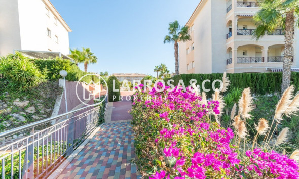 Resale - Ground floor apartment - Orihuela costa - Playa Flamenca