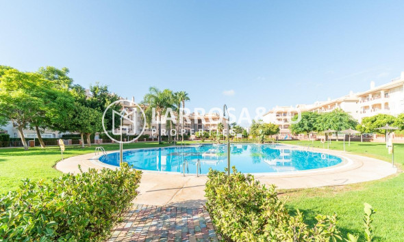 Resale - Ground floor apartment - Orihuela costa - Playa Flamenca