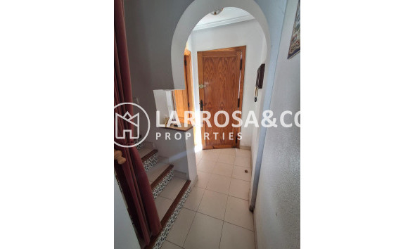 Reventa - Bungalow - Torrevieja - Doña ines