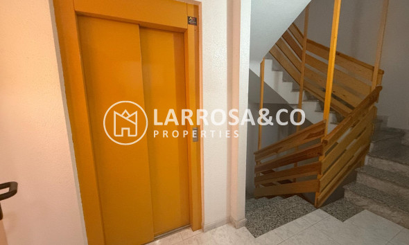 A Vendre - Apartment - Torrevieja - Centro