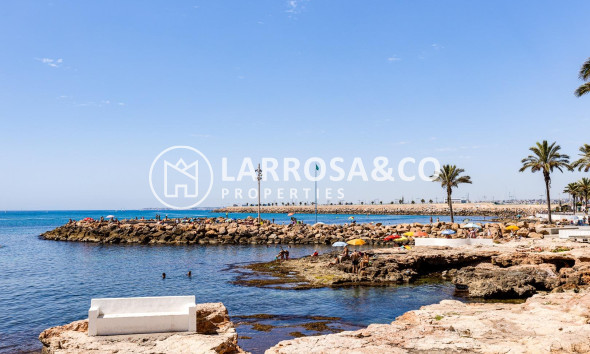 A Vendre - Apartment - Torrevieja - Playa del cura