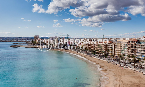 A Vendre - Apartment - Torrevieja - Playa del cura