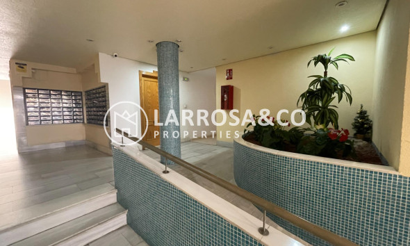 Resale - Apartment - Torrevieja - Estacion de autobuses