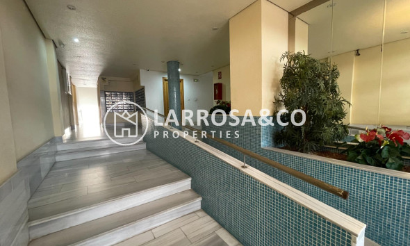 Resale - Apartment - Torrevieja - Estacion de autobuses