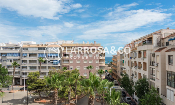 A Vendre - Apartment - Torrevieja - Playa del cura