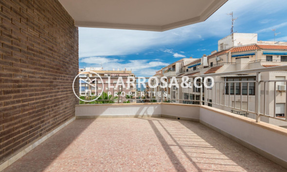 Reventa - Apartamento - Torrevieja - Playa del cura