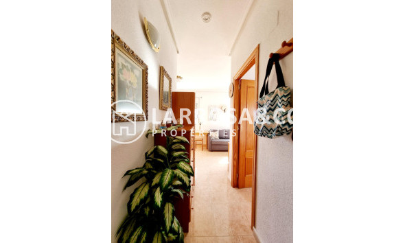 Resale - Detached House/Villa - Torrevieja - San luis